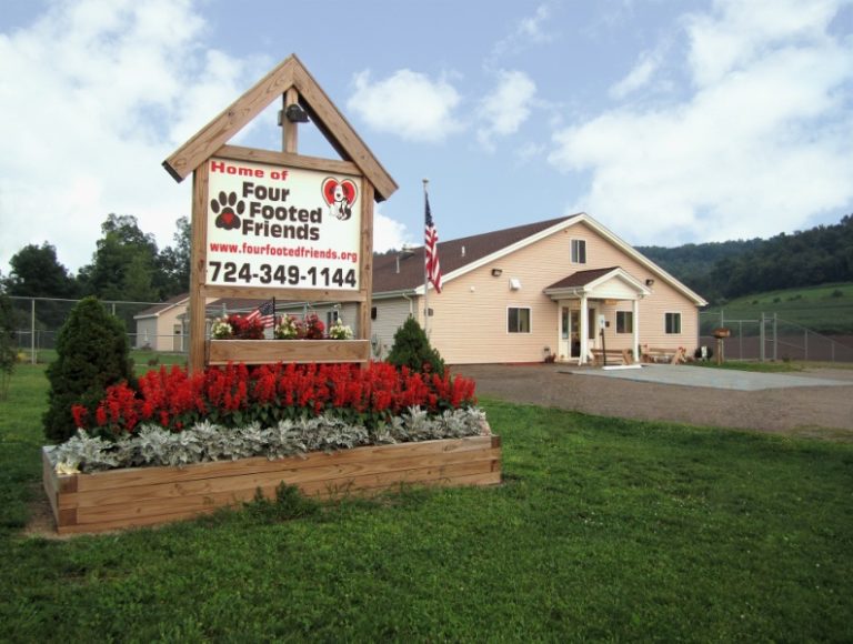 Our animal shelter